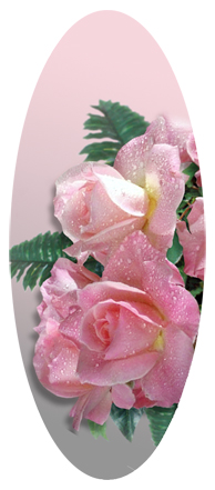 DA18 064 Bouquet Of Roses Pink